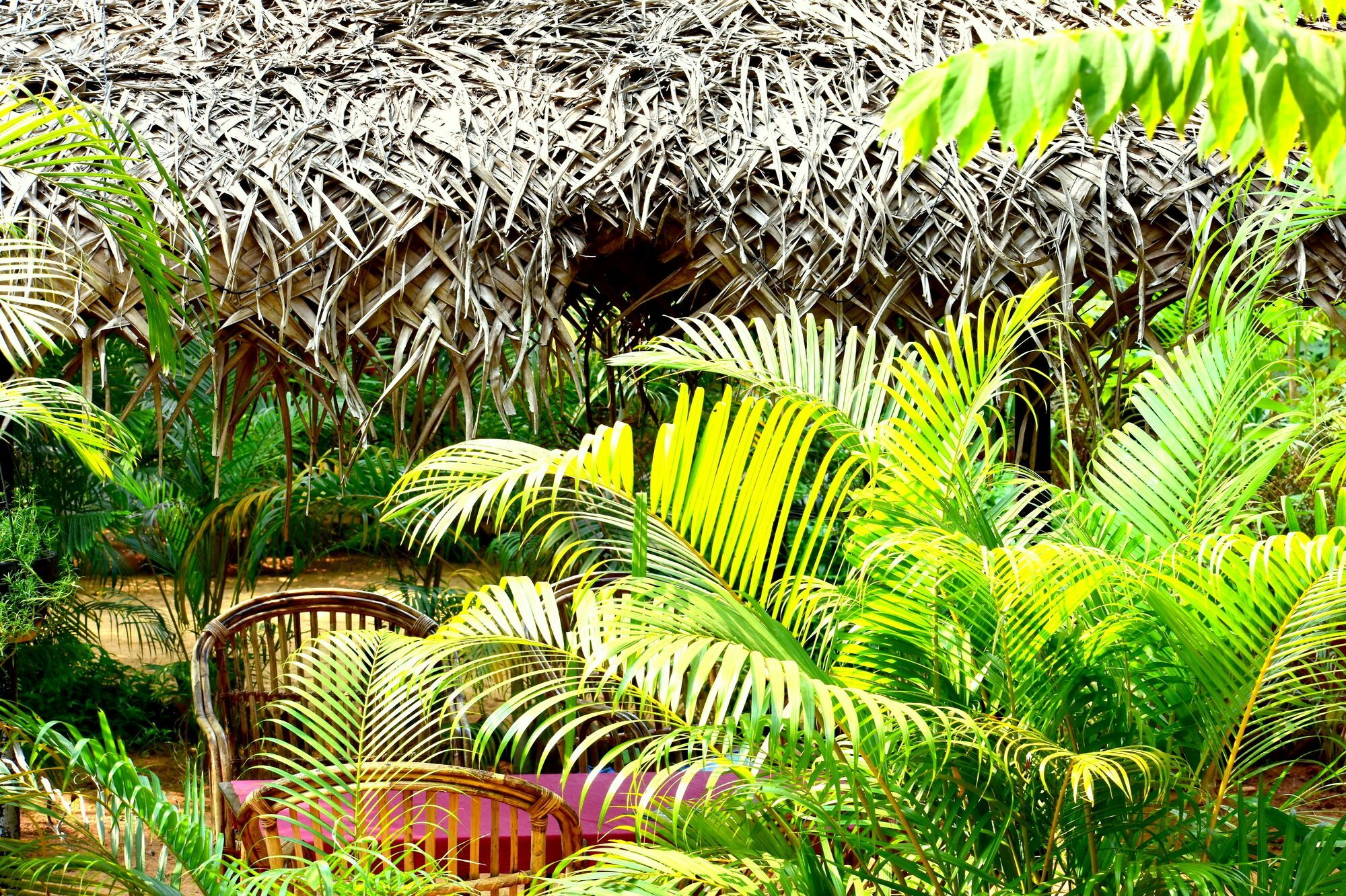 Patnem Garden Resort Patnem Beach Buitenkant foto